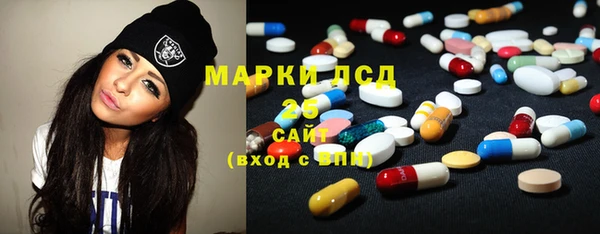 прущая мука Арсеньев