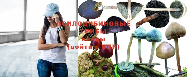 МДМА Армянск