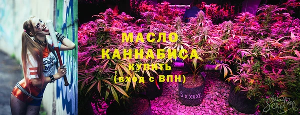 прущая мука Арсеньев